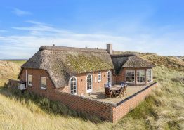 Reetdachhaus mit Sauna & Whirlpool – ruhige Lage