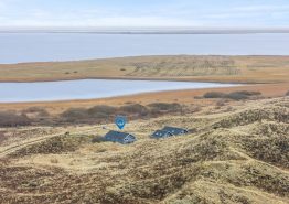 Haurvig. Kat. nr.:  , ;