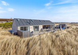 Haurvig. Kat. nr.:  , ;