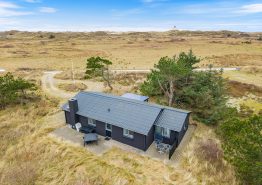 Gemütliches Ferienhaus für 6 Personen in Haurvig. Kat. nr.:  D3657, Vinterlejevej 67;