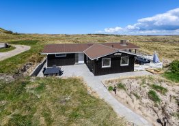 Gemütliches Sommerhaus mit Panoramablick auf die Dünen
