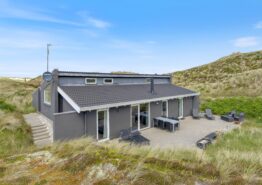 Ferienhaus für 6 Personen in den Dünen