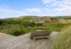 Dejligt sommerhus på naturgrund tæt ved stranden (billede 26)
