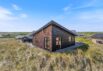 Familievenligt sommerhus nær Vesterhavet og Hvide Sande (billede 28)