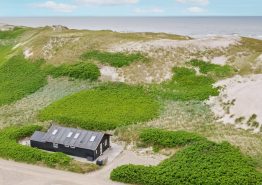 Gemütliches Sommerhaus in den Dünen – 50 m zum Strand