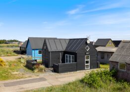 Hyggelig fiskerhytte til 4 personer nær Ringkøbing Fjord