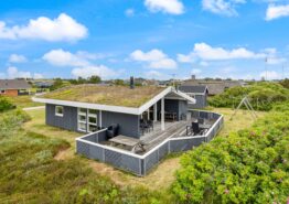 Gemütliches Sommerhaus im Sivbjerg in Nr. Lyngvig