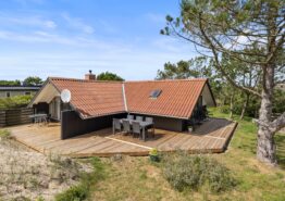 Lyst og hyggeligt sommerhus til 4 personer i Nr. Lyngvig