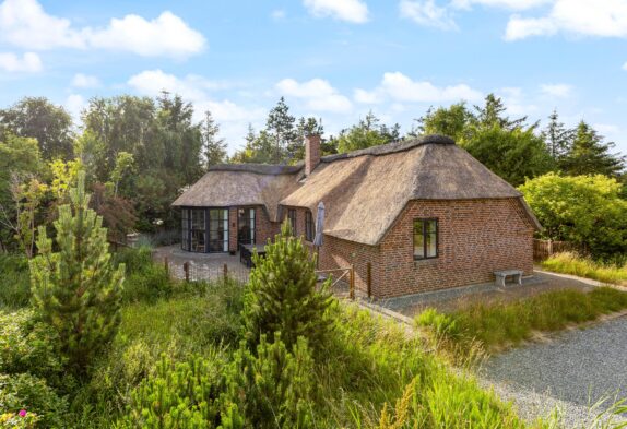 Reetgedecktes Ferienhaus mit Whirlpool, 2 Hunde erlaubt