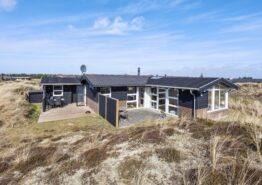 Charmantes Ferienhaus mit Holzofen inmitten der Dünenlandschaft