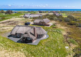 Tolles Ferienhaus auf Holmsland Klit, Sauna und Whirlpool, 1 Hund