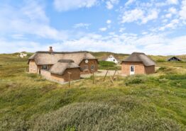 Reetdachhaus mit Sauna, Whirlpool, 2 Hunde, 150 m zum Strand