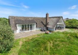 Ferienhaus mit Kamin und Reetdach auf Naturgrundstück