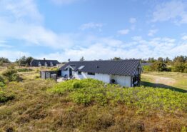 Gemütliches Ferienhaus mit Kaminofen auf einem schönen Dünengrundstück