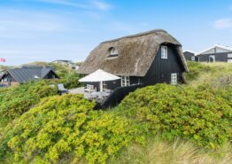 Stråtækt sommerhus kun 400 meter til stranden. Kat. nr.:  J6037, Klitdalen 87