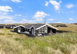 Gemütliches Ferienhaus, 3 Hunde erlaubt, 350m zum Strand