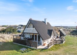 Gemütliches Ferienhaus mit Außendusche, 2 Hunde erlaubt. Kat. nr.:  J6670, Troldedalen 10;