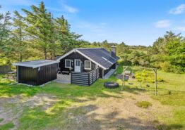 Dejligt sommerhus med brændeovn på Lodbjerg Hede