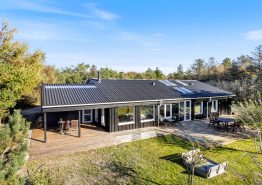 Rummeligt sommerhus på Vestkysten med moderne faciliteter. Kat. nr.:  K6094, Tranebærvej 19;