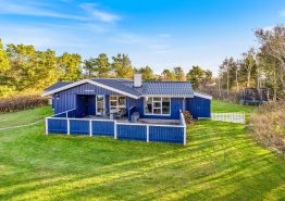 Schönes Ferienhaus mit eingezäunter Terrasse in Lodbjerg Hede. Kat. nr.:  K6168, Sivsangervej 37;