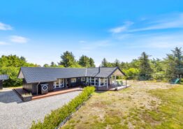 Tolles Ferienhaus in Lodbjerg Hede mit Aktivitätsraum mit Billard