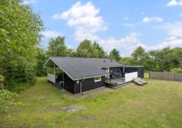 Charmantes Ferienhaus in Lodberg Hede mit Holzofen, 2 Hunde. Kat. nr.:  K6774, Rævekrogen 5;