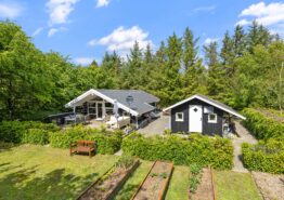 Schönes Ferienhaus mit Holzofen für 5 Personen