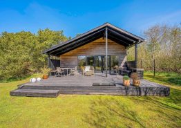 Dejligt sommerhus med udebruser til 6 personer på Lodbjerg Hede