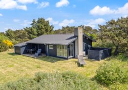 Hyggeligt sommerhus med brændeovn på Lodbjerg Hede