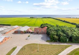 Stort feriehus til 10 personer med udespa og udesauna