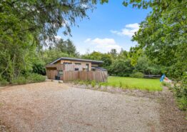 Modernes Ferienhaus mit Badetonne in Lodberg Hede