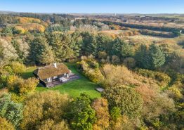 Dejligt sommerhus med udebruser og trampolin