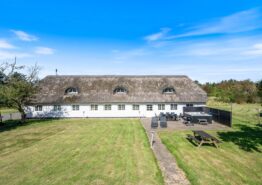 Aktivitetshus med udespa i Vester Husby