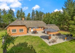 Schönes Ferienhaus auf großem Grundstück in Vester Husby