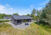 Modernes Ferienhaus mit Badetonne und Außensauna (Bild  1)