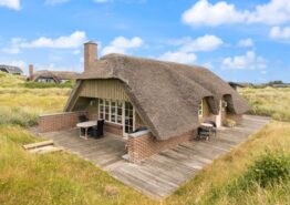 Zauberhaftes Ferienhaus mit  Reetdach, 1 Hund erlaubt