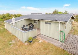 Klassisches Ferienhaus Urlaub nah an Søndervig mit Hund