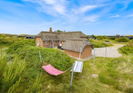 Großes Reetdach Ferienhaus mit Whirlpool und Sauna