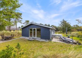 Ferietip – dejligt hus nær Ringkøbing fjord