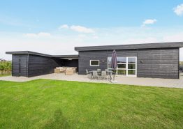Neues modernes Ferienhaus mit Whirlpool in strandnaher Lage
