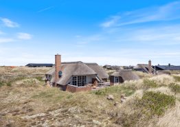 Reetdach-Ferienhaus-Idylle in Søndervig mit Kaminofen