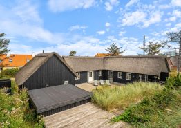 Großzügiges Ferienhaus mit Sauna und Spa, 350 m zum Strand