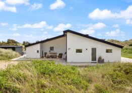 Wellness sommerhus med saltvandspool og spabad