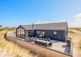 Lækkert aktivitetshus i Søndervig med spa, sauna, billard og udespa