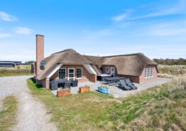 Totalrenoveret energivenligt sommerhus med swimmingpool